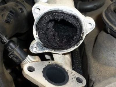 WhatsApp Image 2025 03 18 at 14.15.09