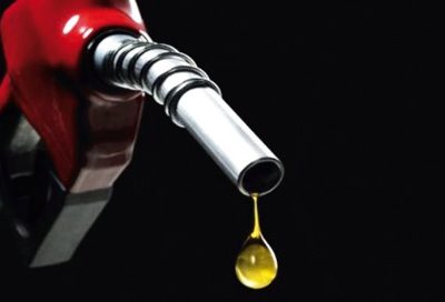 WhatsApp Image 2025 03 18 at 14.28.05