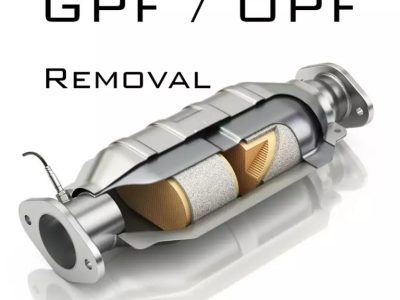 Home 28 WhatsApp Image 2025 03 18 at 14.29.51