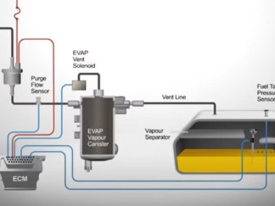 WhatsApp Image 2025 03 18 at 14.37.53